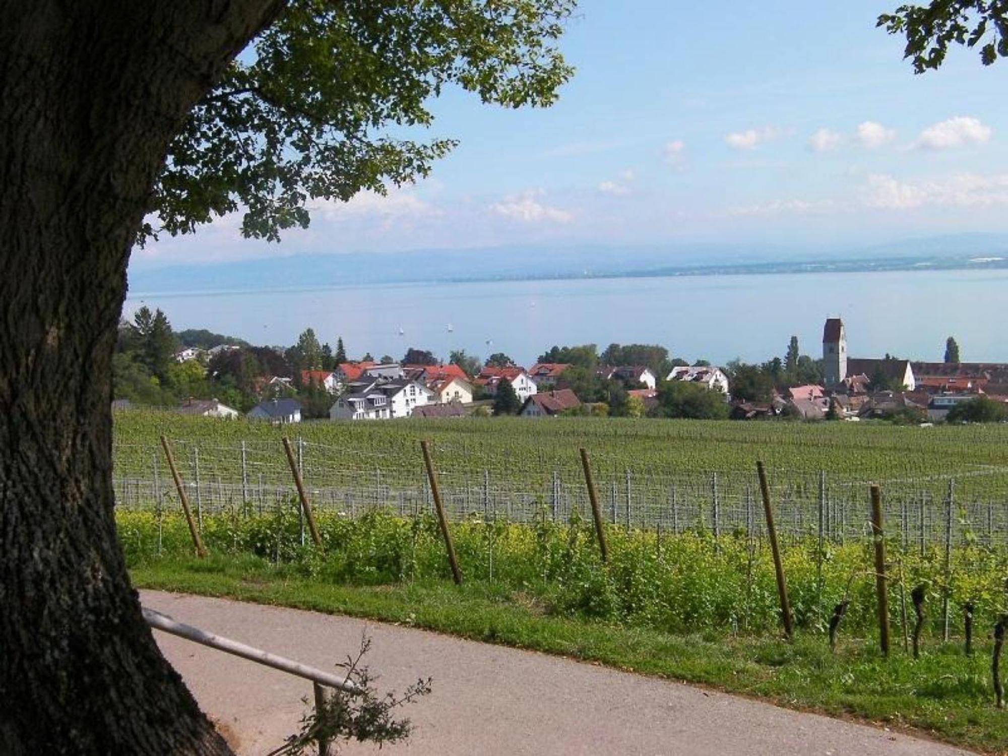 Keller Appartamento Hagnau